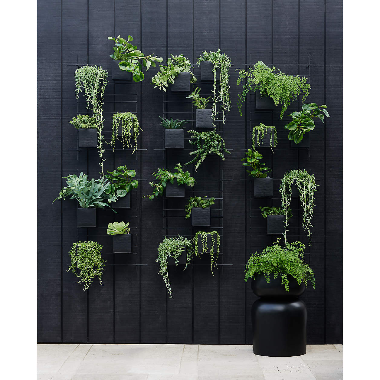 4 Box Wall Mounted Indoor/Outdoor Planter