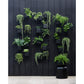 4 Box Wall Mounted Indoor/Outdoor Planter
