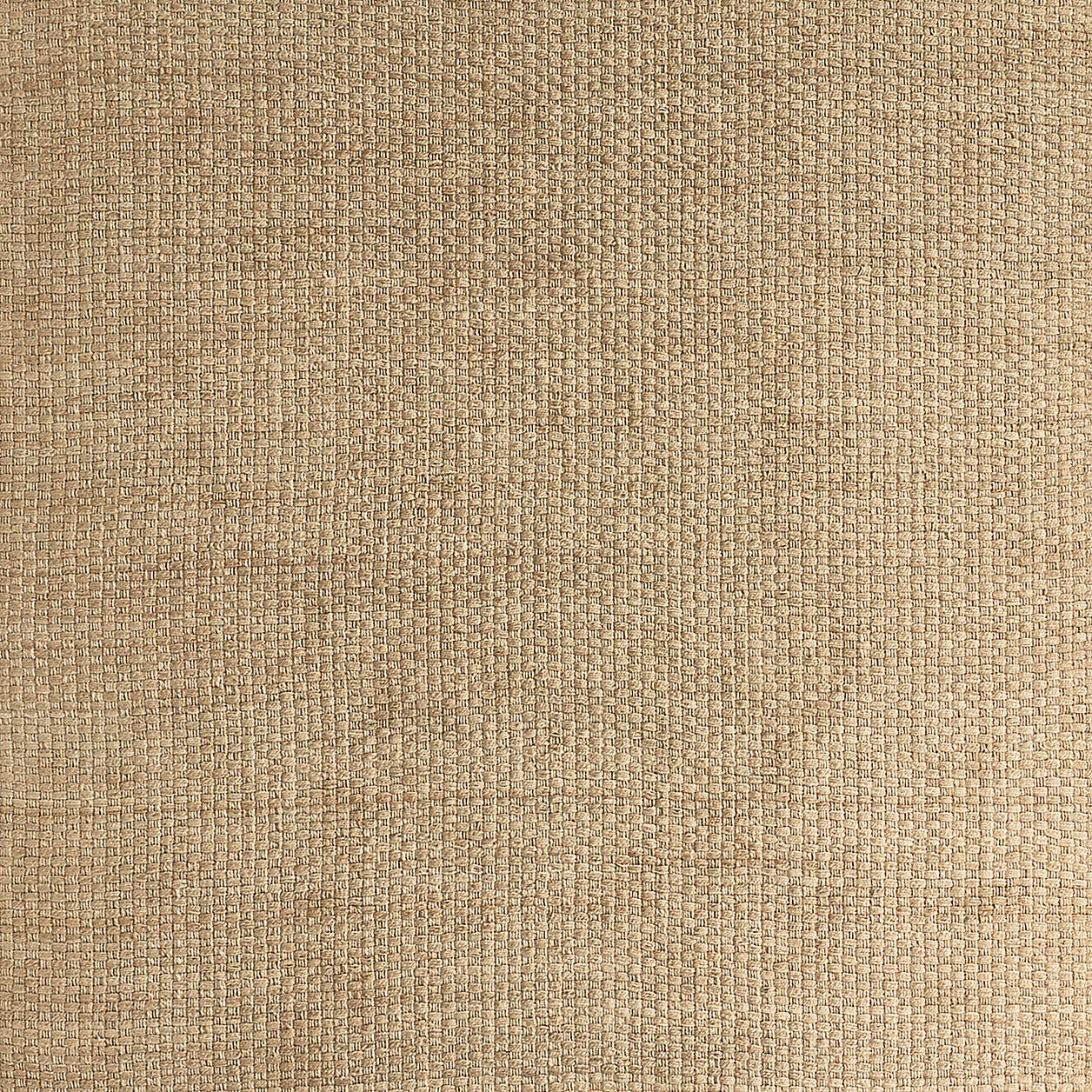 Nantucket Jute Ivory Handwoven Area Rug 6'x9'