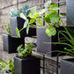 4 Box Wall Mounted Indoor/Outdoor Planter