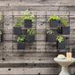 4 Box Wall Mounted Indoor/Outdoor Planter