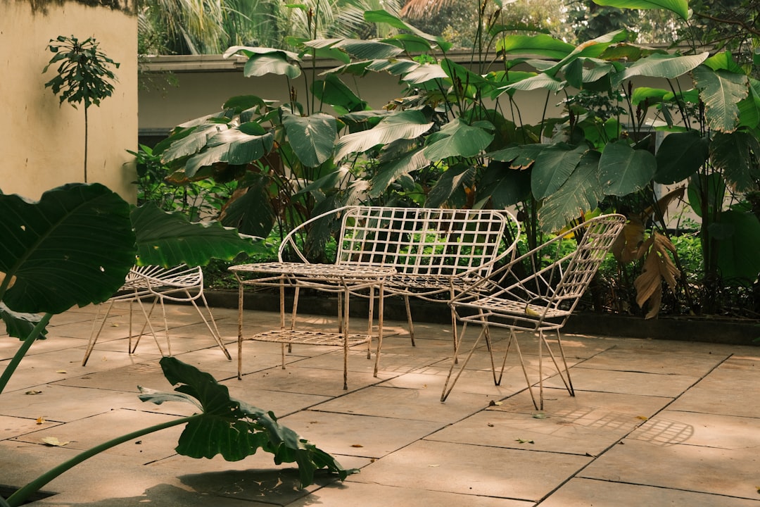 Patio furniture surrounded by greenery